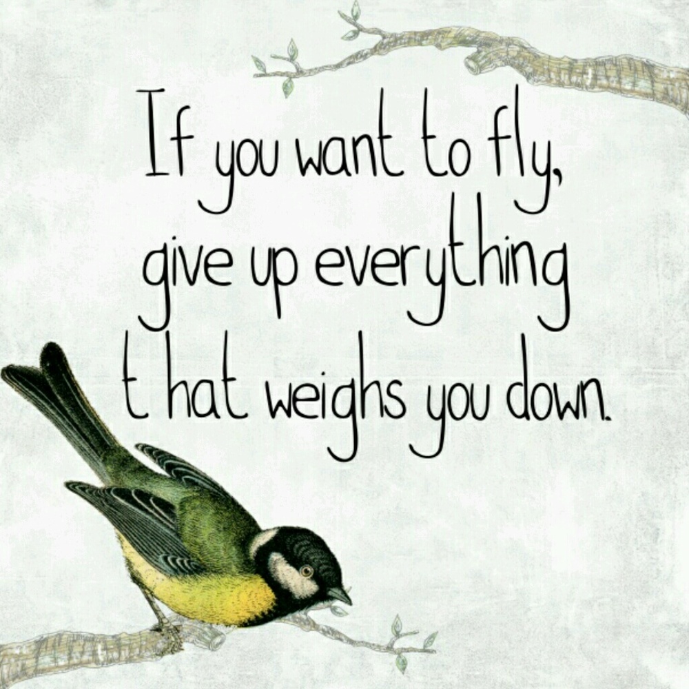 Meet your Posher, Jodi